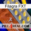 Filagra FXT 42
